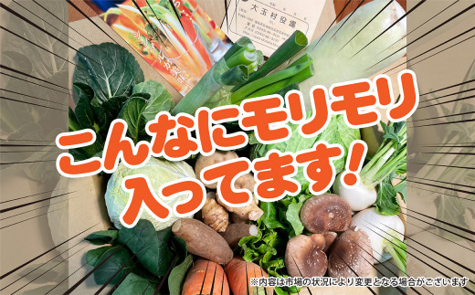 野菜 定期便   (全3回)  先行 予約・ 定期便  ｜旬 の 野菜 10品目 前後 お届け｜トマト 大根 小松菜 ねぎ にんじん ピーマン きゅうり ナス 他｜新鮮 野菜詰め合わせ 無農薬 直送 定期 野菜便 福島県 大玉村 01107