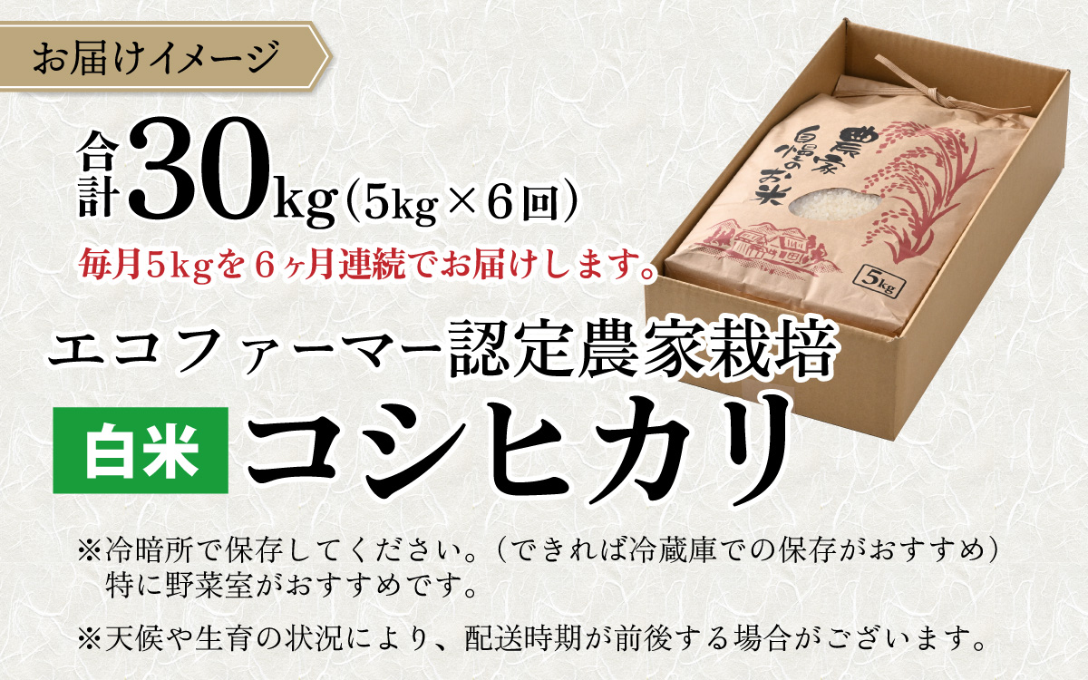 【令和7年産】【6ヶ月定期便】越前大野産 エコファーマー認定農家栽培こしひかり 白米 5kg × 6回 計30kg