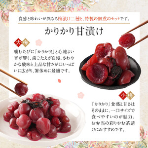 【先行予約】【2026年7月以降順次発送予定】ちくほくのうめ想い 四宝の膳｜ うめ 甘漬け 大梅 小梅 塩昆布漬け  梅干し きゅうり 佃煮