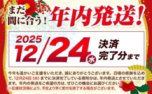 【12/24迄の決済完了で年内発送】無洗米 熊本県産 ブレンド米 肥後のめぐみ米 5kg 熊本県産 ふるさと納税 精米 米 こめ ふるさとのうぜい コメ お米 おこめ