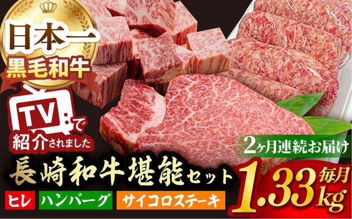 
【全2回】A5ランク ヒレステーキ サイコロステーキ ハンバーグ 総量2.66kg 2660g セット [NA59] 肉 牛肉 ヒレ ステーキ 焼肉
