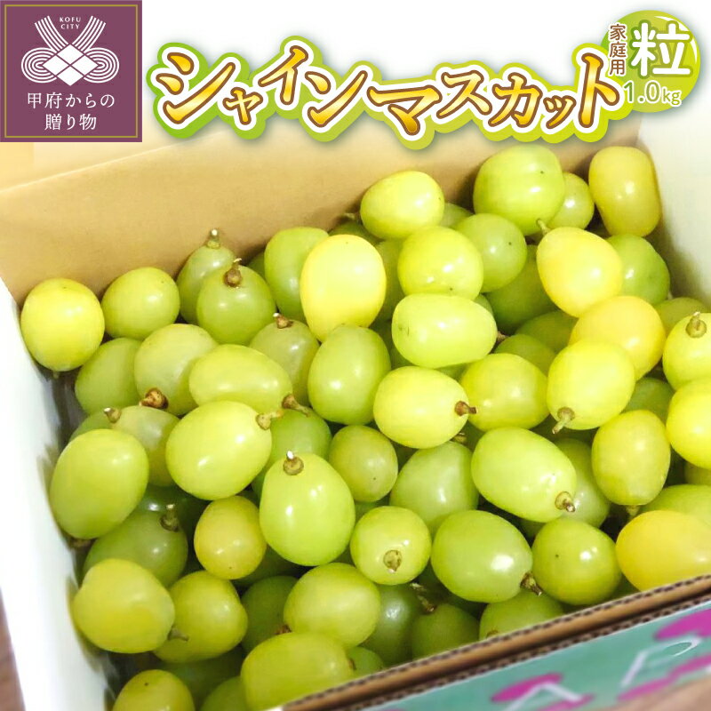 【ふるさと納税】 2026年 先行予約 シャインマスカット 山梨県 ブドウ 数量限定 家庭用 ご自宅用 1.0kg 粒 2026年8月下旬～10月上旬にかけて順次出荷予定 果物 フルーツ 王国 山梨 k374-003