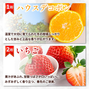フルーツ定期便 12ヶ月 定期