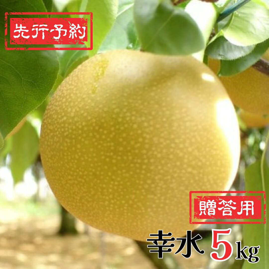【ふるさと納税】先行予約 和梨 幸水 5kg [8月下旬〜順次発送予定] 新潟県産 梨 [岩福農園] 【010P045】