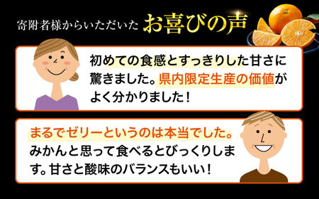 【先行予約】【11月下旬から順次発送】 紅まどんな 約3kg（8玉から12玉入）[AGAO008]紅まどんな 紅まどんな 紅まどんな 紅まどんな