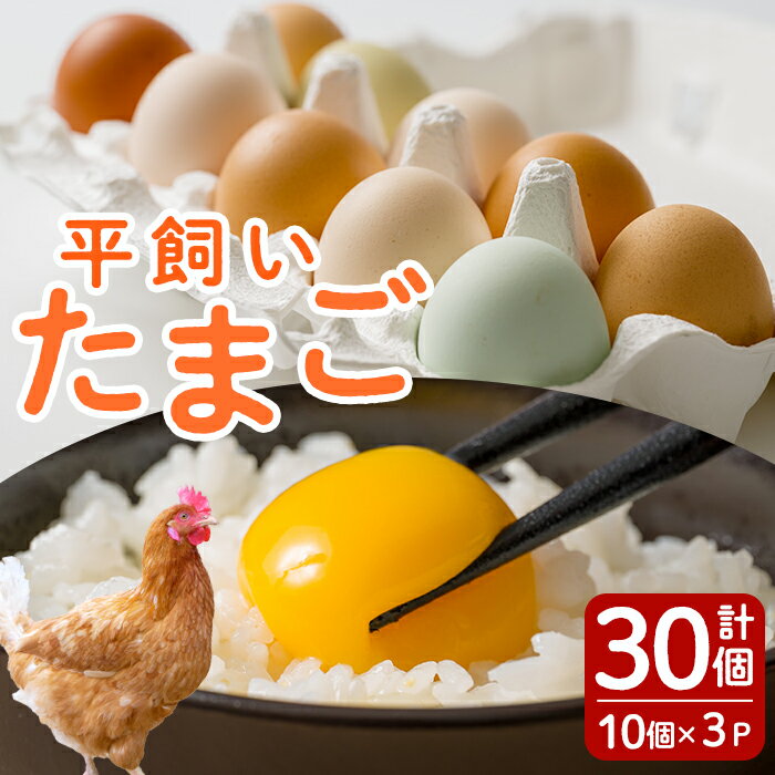 【ふるさと納税】鶏とわたしの平飼い玉子 30個(10個入り×3パック) たまご 卵 卵焼き 生卵 ゆで卵 卵かけごはん 鶏卵 鶏 平飼い 【鶏とわたし】tm545