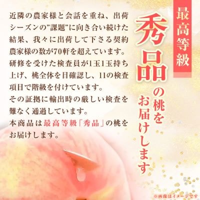 【発送月固定定期便】【農林水産大臣賞受賞!!】山梨の白桃とシャインマスカットの全2回　各1kg以上【配送不可地域：離島・沖縄県】