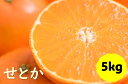 【ふるさと納税】せとか バラ詰め 5kg 先行予約 2025年1月発送 愛媛 数量限定 愛媛県産 人気 柑橘 伊予市｜C55