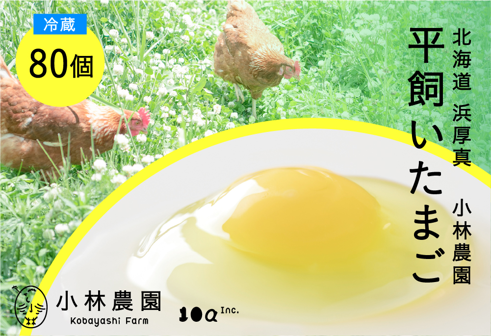 平飼い有精卵 80個【冷蔵便】【テンアール株式会社】 たまご 卵 鶏卵 玉子 生卵 平飼い 北海道 定期便 [AXAN075]