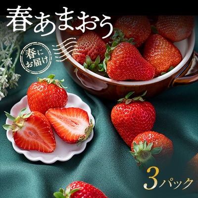 【2027年発送先行受付】春にお届け!福岡産はるあまおう3パック【配送不可地域：離島】【1333571】