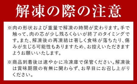 赤身馬刺し 300g (専用醤油付き150ml×1本) 桜屋 《60日以内に出荷予定(土日祝除く)》 熊本県 荒尾市 肉 馬肉 馬さし 赤身