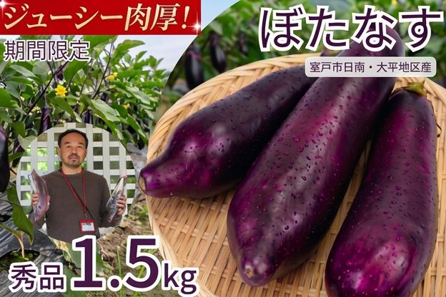 
                  【 伝統野菜 ぼたなす 秀品 1.5㎏ 】 なす ナス ボタナス 焼きナス ナスレシピ 野菜 とろける食感 クリーミー 人気 お取り寄せ 野菜セット 甘い 産地直送 新鮮 野菜 希少 吉良川町 日南 大平 集落活動センター ひなたぼっこ 高知県 室戸市
                