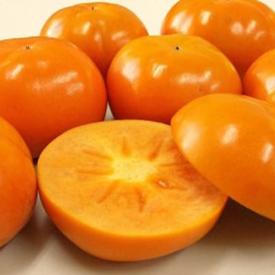 【先行受付】柳フルーツ園の訳あり富有柿　5kg【1077827】