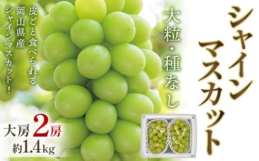 岡山県産シャインマスカット大房＜2025年9月末以降順次発送＞【1583563】