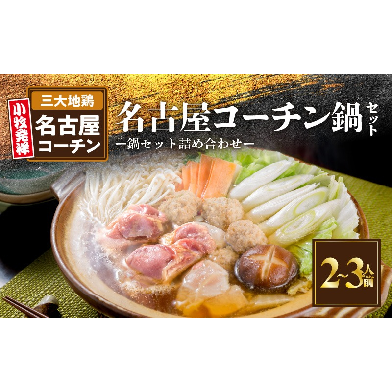 名古屋コーチン鍋セット 日本三大地鶏 鍋セット 鶏肉 もも肉 肉団子 鍋料理[001T07]