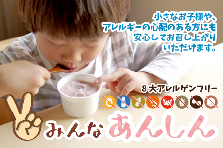 みんなのアイス 12個セット（ 卵・牛乳・小麦等アレルギー特定原材料8品目不使用のアイス ） [A-031004]