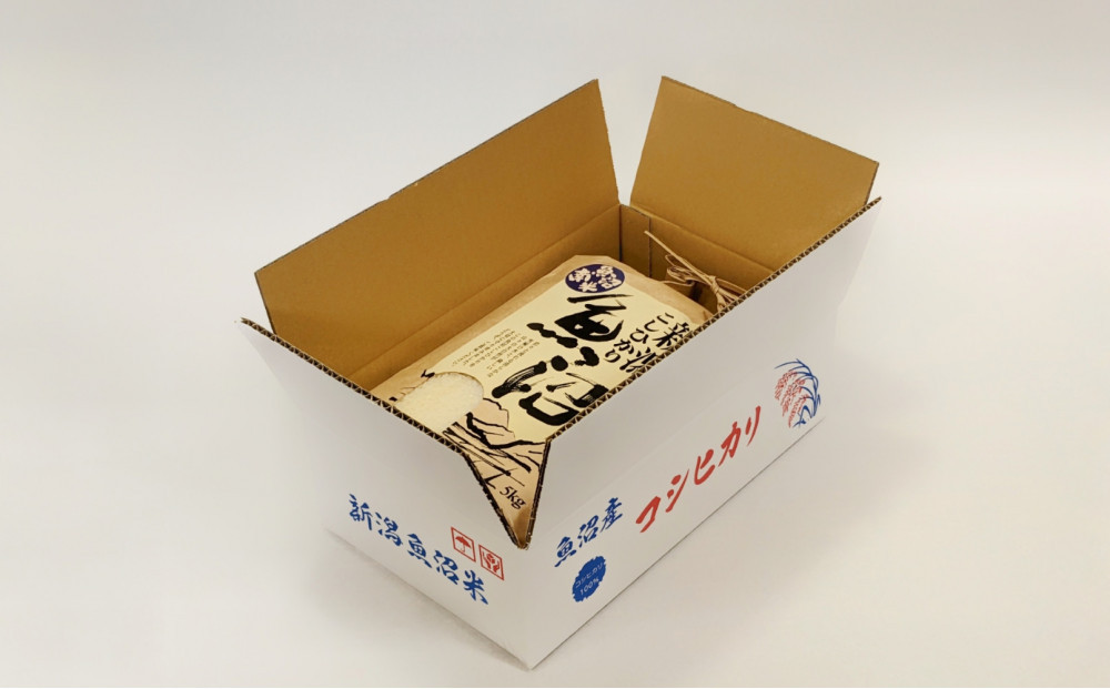【令和8年産新米予約】「五つ星お米マイスター」の南魚沼産コシヒカリ　無洗米５kg×12回（毎月定期便）【2026年10月上旬より1ヶ月以内に順次発送予定】