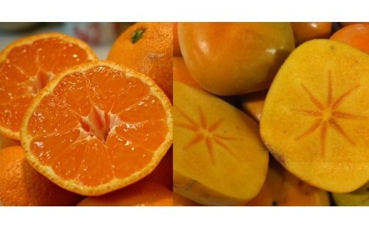 和歌山産 みかんとたねなし柿セット 10kg(各5kg×2)【ヤマタ大谷商店】