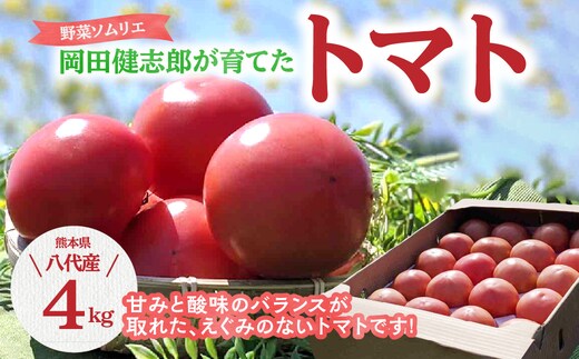 
										
										【先行予約】 野菜ソムリエ岡田健志郎が育てた トマト 4kg【2024年12月上旬より順次発送】
									