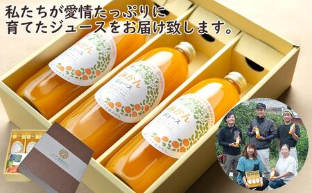みかんジュース【お中元・のし対応】お中元お中元お中元お中元 父の日