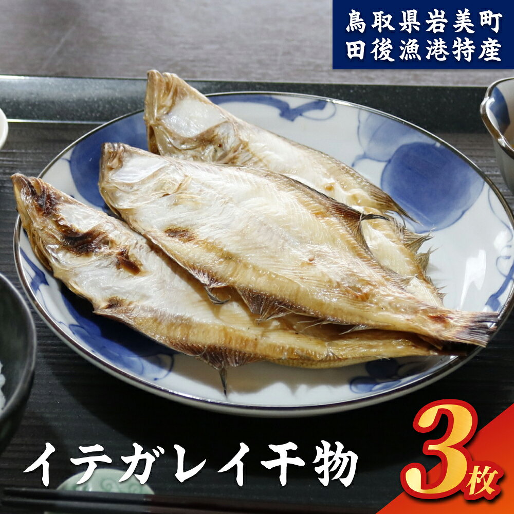 【ふるさと納税】イテガレイ干物セット｜鳥取 岩美 カレイ ひもの 魚介 魚 田後漁港