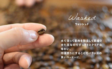 【自家用】「Kaung day」 ミャンマースペシャルティコーヒー ドリップパック　30パック 珈琲 コーヒー カウンデー ミャンマー ドリップ ドリップバック 訳あり ドリップバッグ【98-3】
