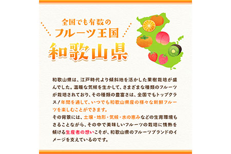 手剥き八朔缶詰(ミックス)450g×8本入 紀の里農業協同組合 《90日以内に出荷予定(土日祝除く)》和歌山県 紀の川市