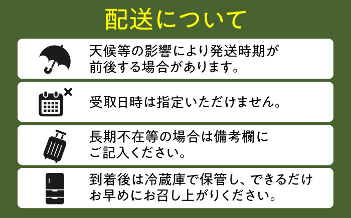 【先行予約・7月以降発送】尺玉西瓜 1玉（約7kg～9kg） 日田市 / JAおおいた [AREW001]
