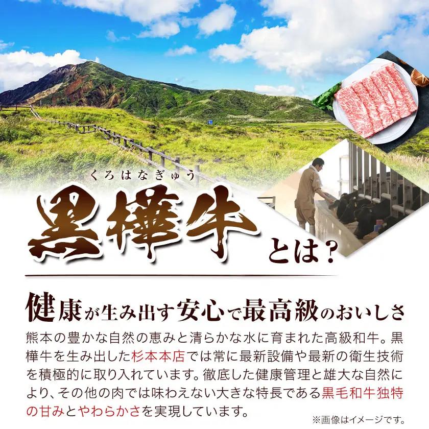くまもと黒毛和牛 黒樺牛 A4～A5等級 肉厚サーロインステーキ 600g 株式会社杉本本店 《90日以内に出荷(土日祝除く)》熊本県 菊池市 特大 牛肉 牛 肉厚 お肉 ステーキ 黒毛和牛 国産 九