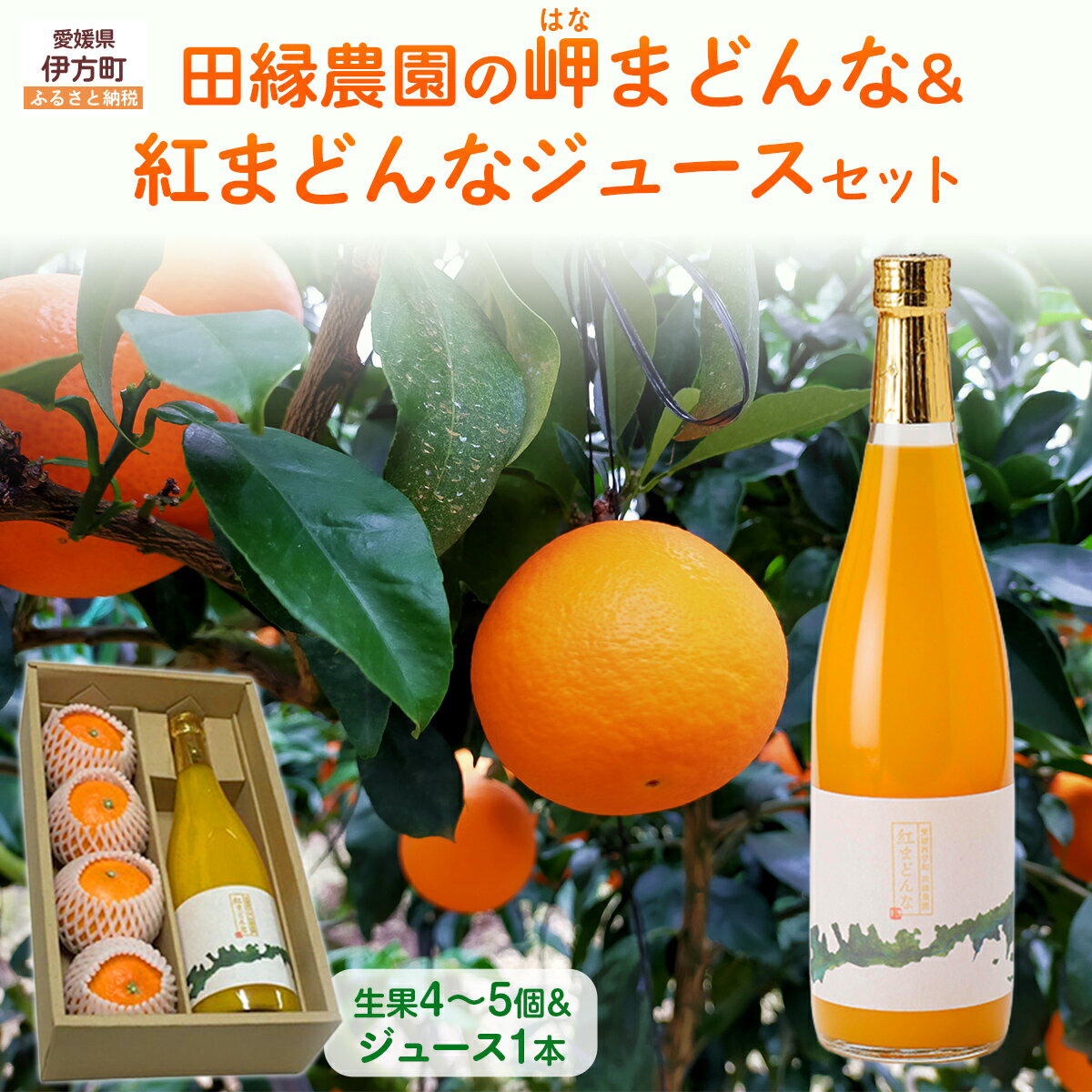 【ふるさと納税】【先行予約】【数量限定】田縁農園の岬（はな）まどんな生果＆紅まどんなジュースセット （2025年12月10日より順次発送）【ふるさと納税 人気 おすすめ ランキング みかん はなまどんな 紅まどんな オレンジジュース 愛媛県 伊方町 送料無料】 IKTA004