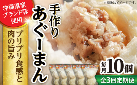 肉まん 【全3回定期便】あぐーまん 10個入り (2個入り×5P)  BCBL011 惣菜