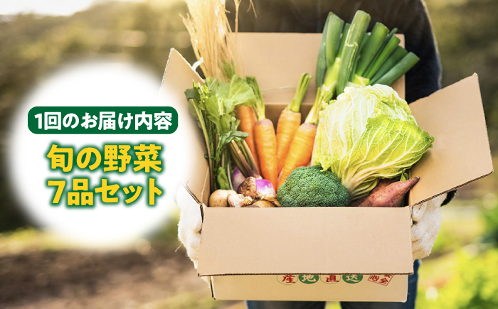 【全6回定期便】旬の野菜セット 7品 [JBO045] 野菜 やさい 旬 セット 詰め合わせ 48000 48000円