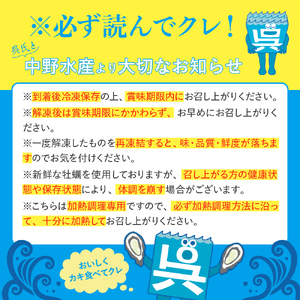 【定期便 3か月】中野水産 美浄生牡蠣 冷凍カキフライ