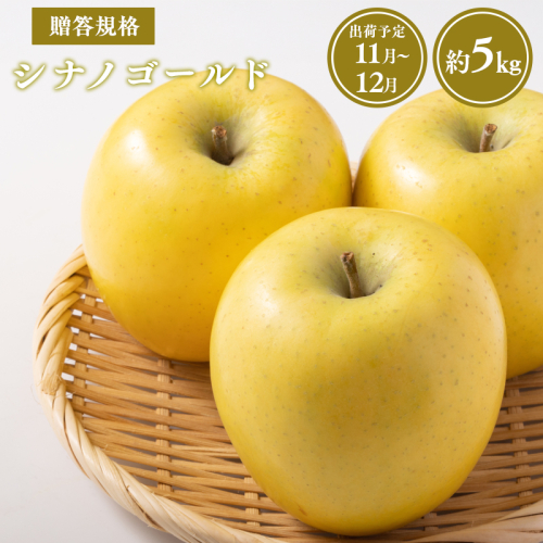 【令和8年産受付】贈答用シナノゴールド約5kg【青森県平川市産・青森りんご】