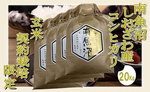 【令和7年産】【玄米２０Kg】●玄米● 生産者限定 南魚沼しおざわ産コシヒカリ【銘柄米 ブランド米 玄米 こしひかり コシヒカリ 魚沼産 新潟米 産地直送 お米 米 こめ コメ ご飯 御飯 ごはん】