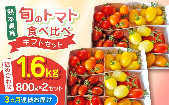 
            【全3回定期便】【期間限定】熊本県産 減農薬栽培 トマト ミディトマト 詰め合わせ 800g×2セット 計1600g 食べ比べ ギフトセット 産地直送【矢仁田農園】 [YDE019]
          