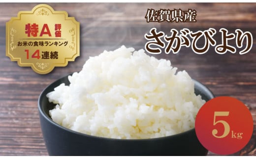 佐賀ブランド米「さがびより」5kg（5kg×1）潮風F