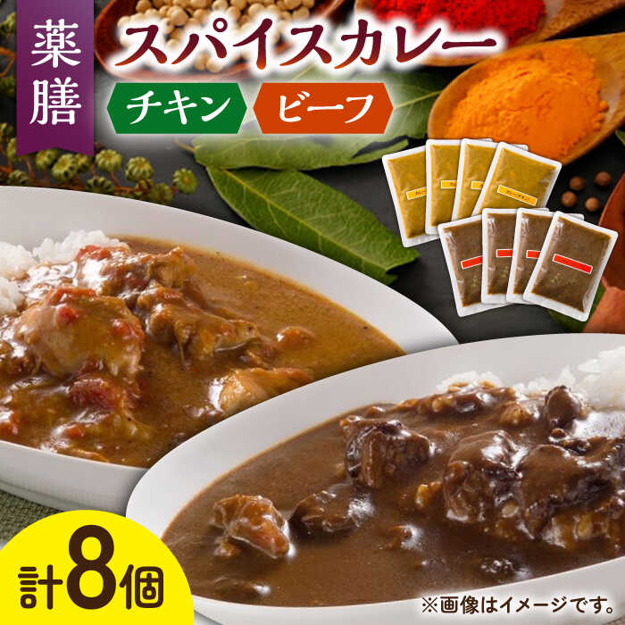 【ふるさと納税】32種のスパイス 薬膳 スパイスカレー ファミリー セット /自然庵 [UCQ003] カレー 冷凍カレー レトルト スパイスカレー 個包装