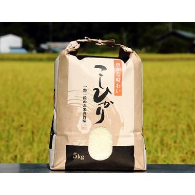 ふるさと納税 売木村 【令和7年産】うるぎ米 5kg