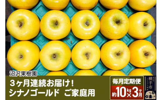 
《定期便3ヶ月》パリパリ食感シナノゴールド ご家庭用 約10kg（1回28～46玉前後）×3回 計30kg 3か月 3ヵ月 3カ月 3ケ月
