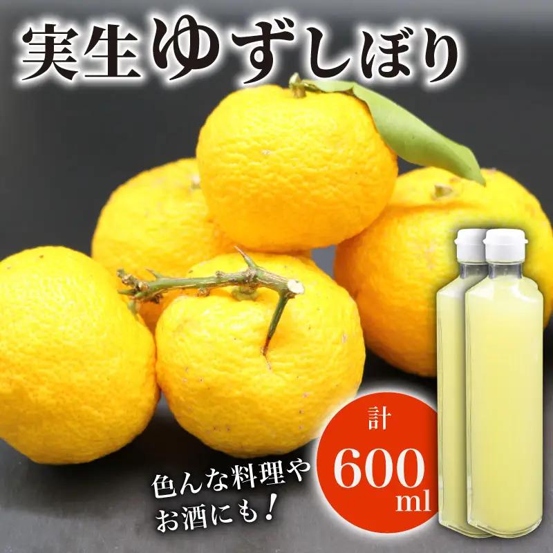 実生ゆずしぼり 100% 300ml ×2本 ユズ ストレート