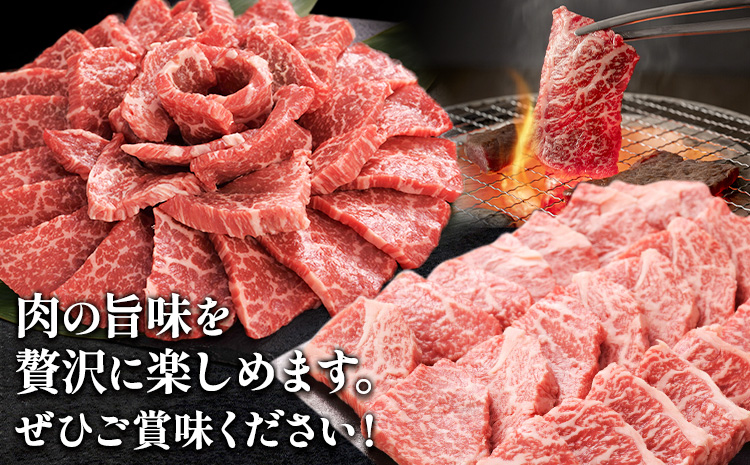 阿蘇うぶやま村の放牧あか牛極上焼肉セット1kg リブロース てんまる たっぷり BBQ 焼き肉 赤身 和牛 牛肉 牛 国産 あか牛 焼肉正 人気 ギフト 詰め合わせ 贈り物 お中元 お歳暮 贈答 熊本