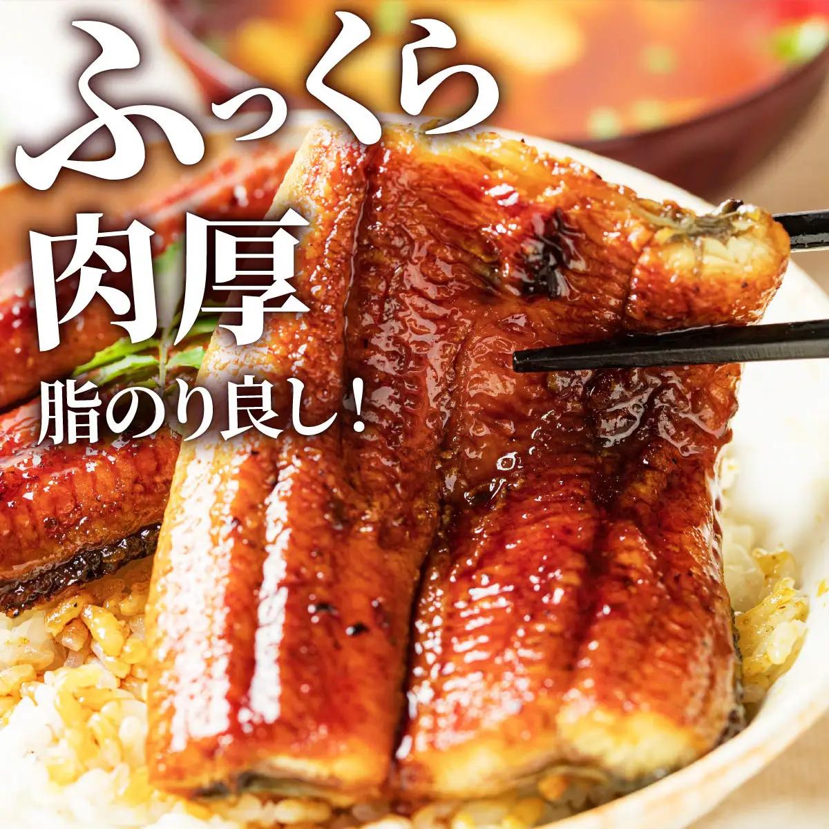 大容量600g！特大うなぎ蒲焼200g×3尾