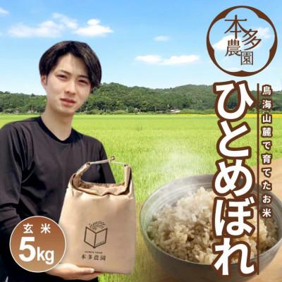 ふるさと納税 酒田市 ひとめぼれ 玄米 5kg 令和7年産米 山形県酒田産