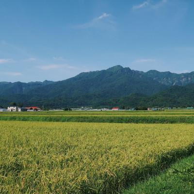 ふるさと納税 富良野市 令和7年産米　富良野産　栽培期間出来るだけ農薬を減らして作った　ななつぼし　10kg |  | 03