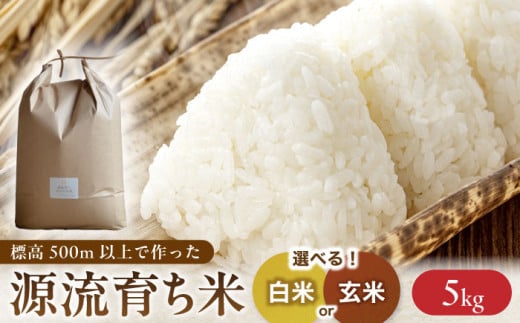 ＜新米 予約＞R7年度産 お山のお米 5kg 白米 岐阜 白川町 / Sunpo [AWBC007]