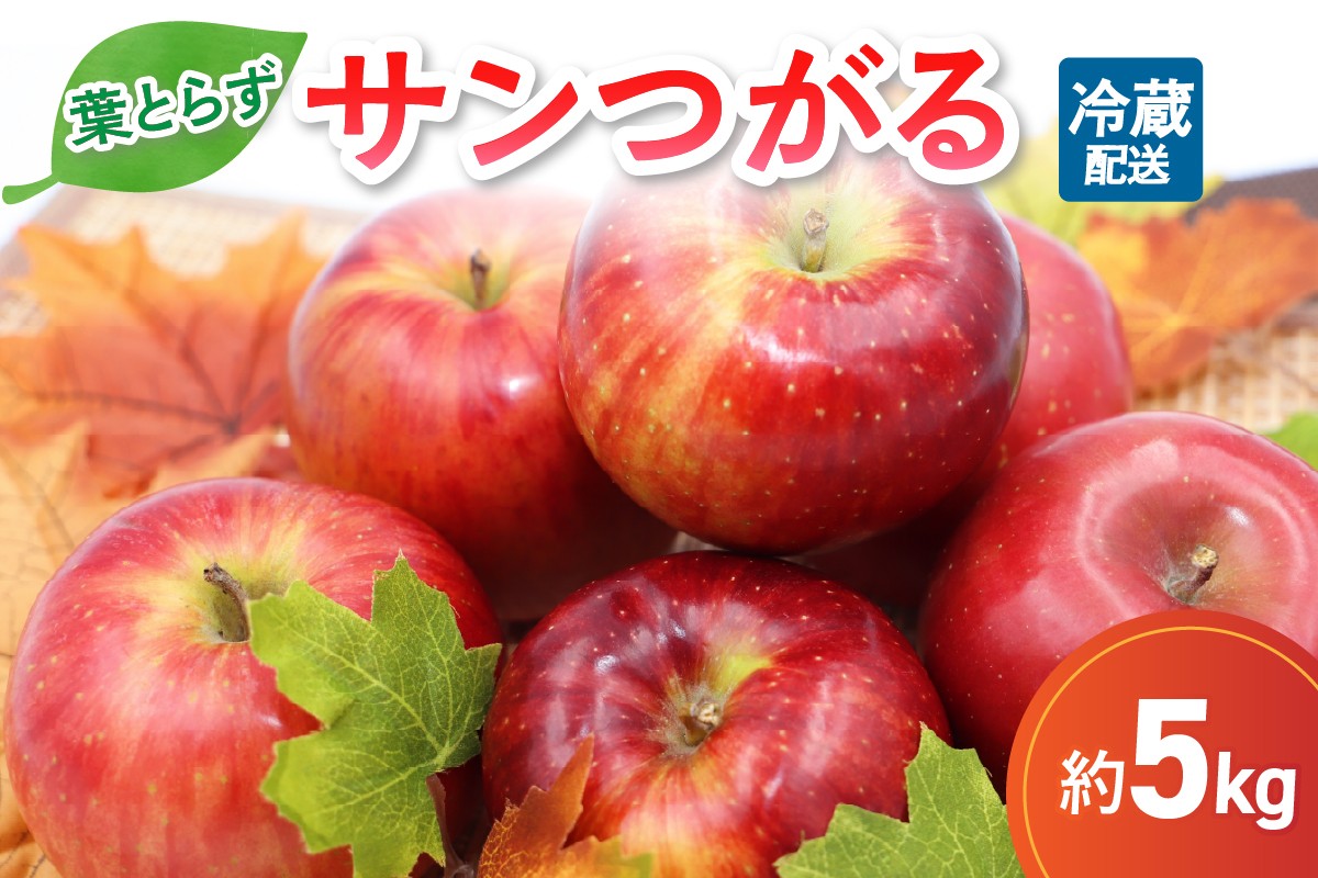 
                  【9月発送】 りんご 5kg 葉とらず サンつがる 青森県産 【2026年 リンゴ 林檎 果物 フルーツ 10キロ】
                