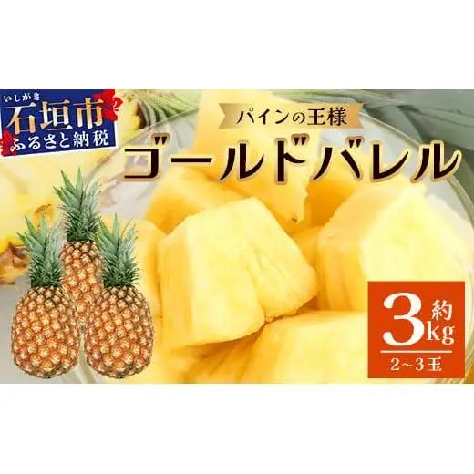 パイナップル 【先行予約】最高級パイン ゴールドバレル 2～3玉セット TD-1-1
