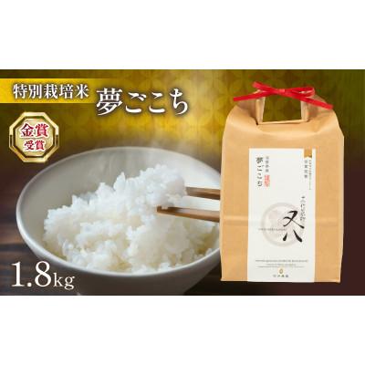 ふるさと納税 竜王町 令和7年産 夢ごこち 1.8kg 化粧箱入WN026