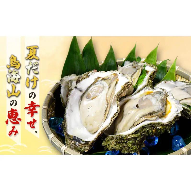 【先行予約】天然岩牡蠣 8~10個 生食可 象潟産 ナイフ無 牡蠣